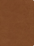 CSB He Reads Truth Bible, Saddle Leathertouch, Indexed