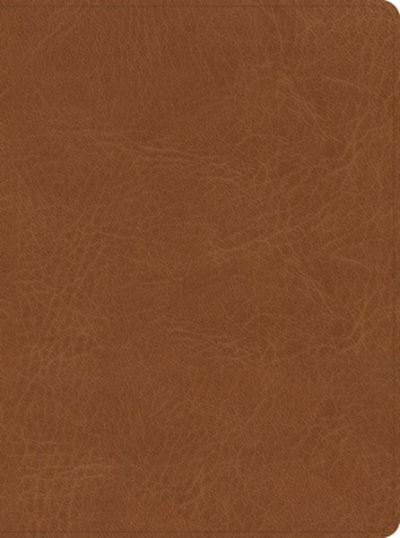 CSB He Reads Truth Bible, Saddle Leathertouch, Indexed
