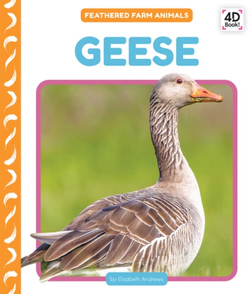 Geese