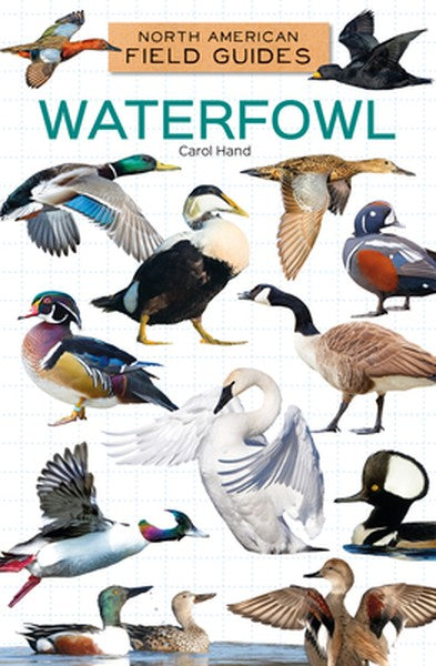 Waterfowl