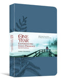 The One Year Experiencing God's Presence Devotional: 365 Daily Encounters to Bring You Closer to Him
