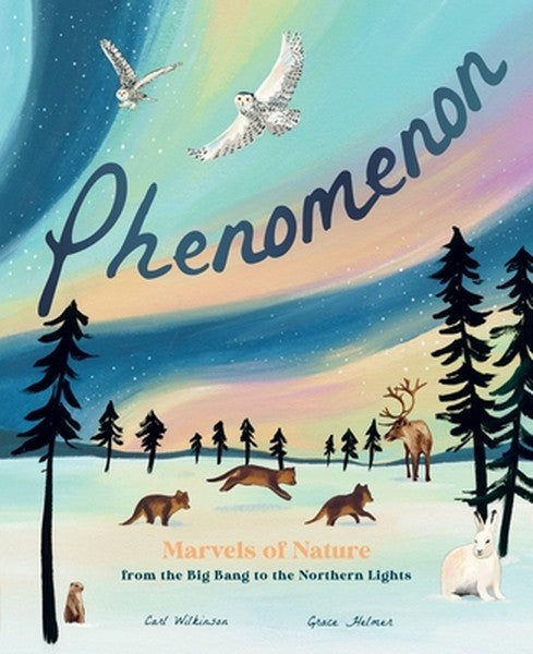 Phenomenon: Marvels of Nature from the Big Bang to the Northern Lights