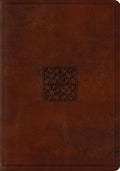 Study Bible-ESV-Celtic Imprint Design