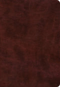 ESV Super Giant Print Bible (Trutone, Burgundy)