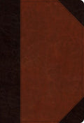 ESV Student Study Bible (Trutone, Brown/Cordovan, Portfolio Design)