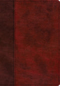 ESV Single Column Journaling Bible, Large Print (Trutone, Burgundy/Red, Timeless Design)
