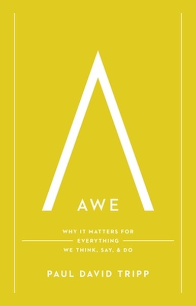 Awe: Why It Matters for Everything We Think, Say, and Do (with Study Questions)