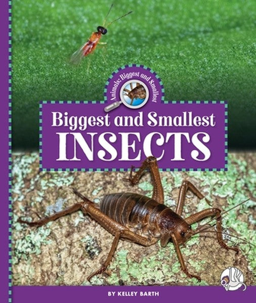 Biggest and Smallest Insects