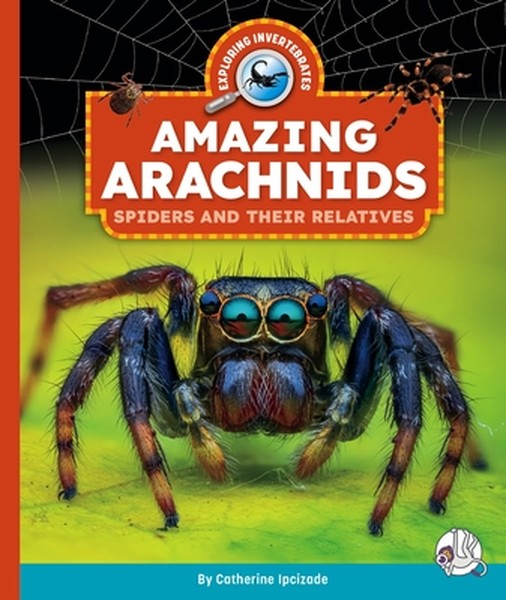 Amazing Arachnids: Spiders and Their Relatives