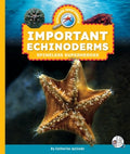 Important Echinoderms: Spineless Superheroes