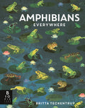 Amphibians Everywhere