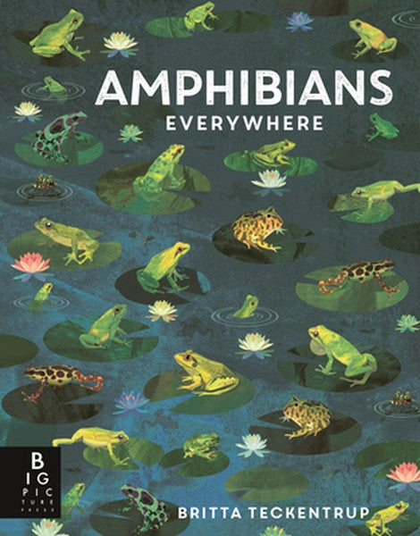 Amphibians Everywhere