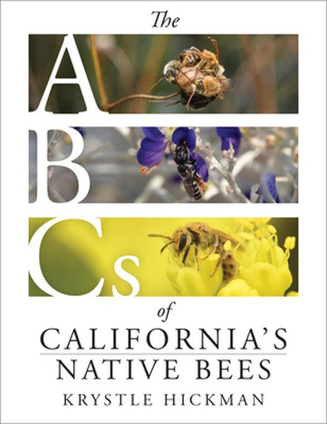 The ABCs of California's Native Bees