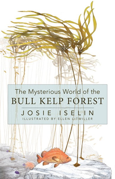 The Mysterious World of the Bull Kelp Forest