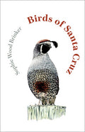 Birds of Santa Cruz