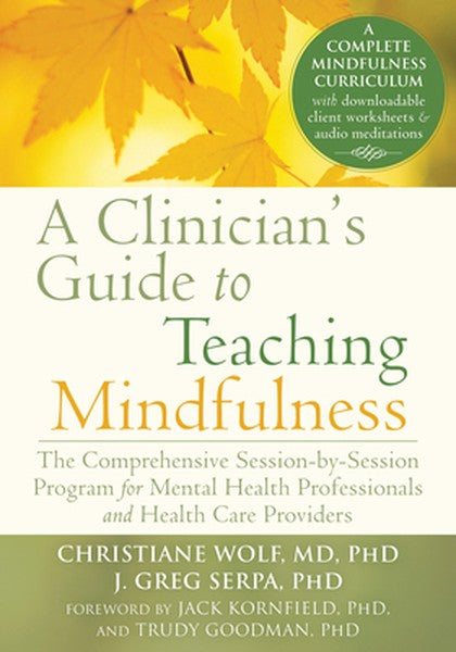 A Clinician's Guide to Teaching Mindfulness: The Comprehensive Session-By-Session Program for Mental Health Professional