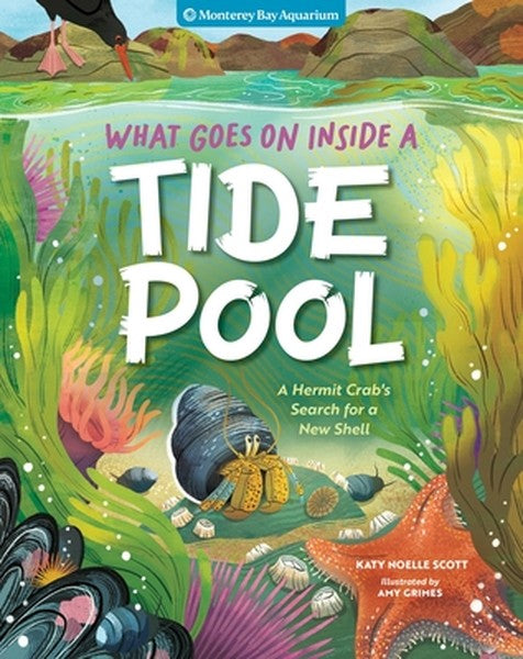 What Goes on Inside a Tide Pool: A Hermit Crab's Search for a New Home