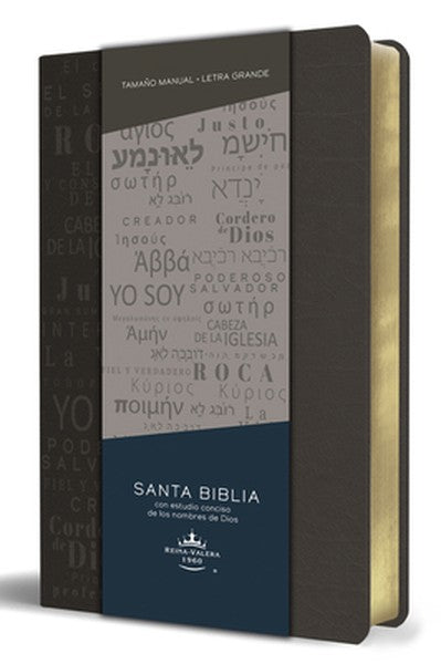 Biblia Rvr 1960 Letra Grande Tamaño Manual, Simil Piel Gris Con Nombres de Dios / Spanish Bible Rvr 1960 Handy Size Larg