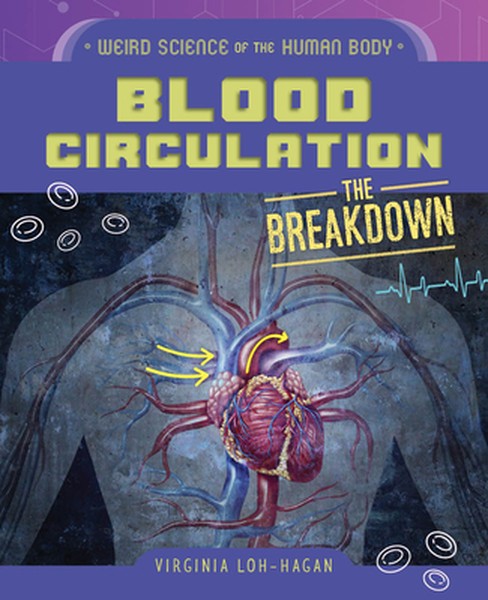 Blood Circulation