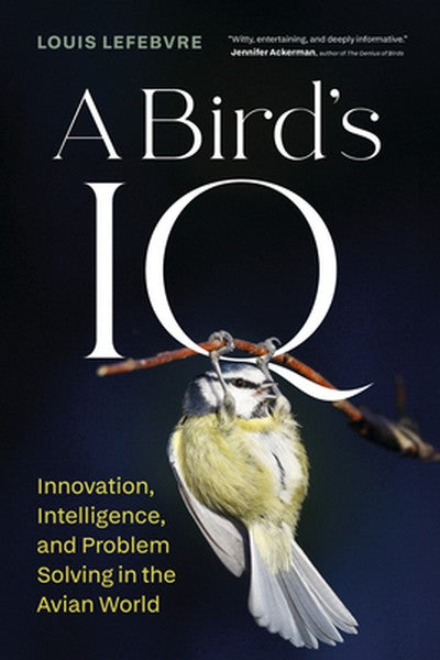 A Bird's IQ: Innovation, Intelligence, and Problem Solving in the Avian World