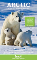 Arctic: A Guide to Coastal Wildlife