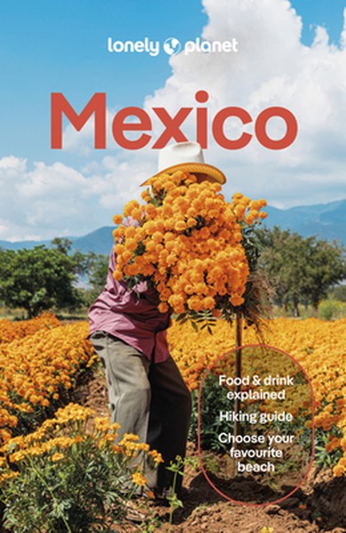 Lonely Planet Mexico: Plan the Trip of a Lifetime Detailed Itineraries & Maps Insider Tips Covers Etulum, Oaxaca, Copper