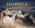 Horses: a Soulful Equestrian Photography Coffee Table Book