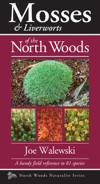Mosses & Liverworts of the North Woods: A Handy Field Reference to 81 Species