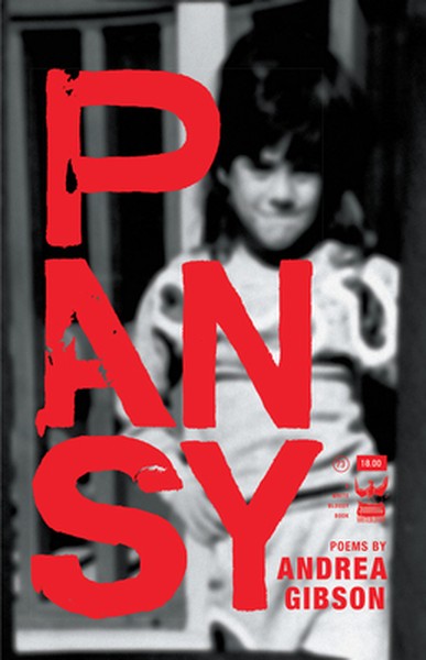 Pansy - book cover