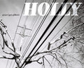 Holly