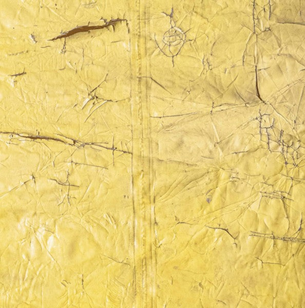 David Hammons