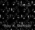 Ray K. Metzker: City Lux