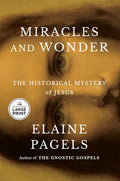 Miracles and Wonder: The Historical Mystery of Jesus