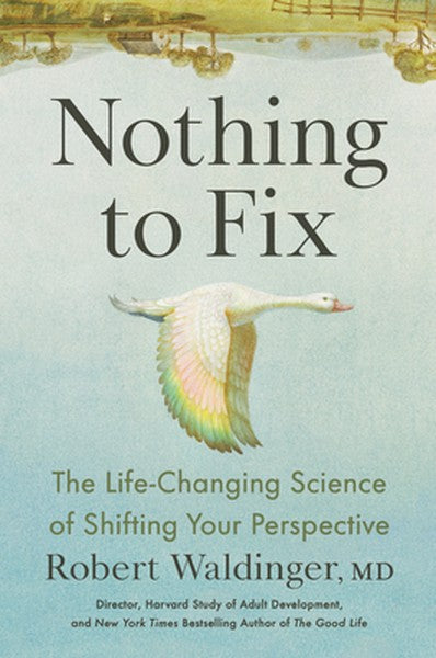 Nothing to Fix: The Life-Changing Science of Shifting Your Perspective
