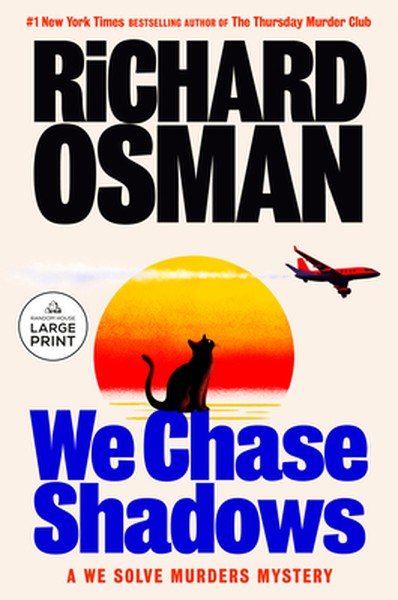 We Chase Shadows: A We Solve Murders Mystery