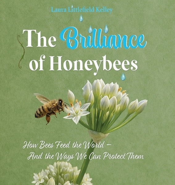 The Brilliance of Honeybees: How Bees Feed the World, And the Ways We Can Protect Them