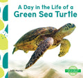 Day in the Life of a Green Sea Turtle