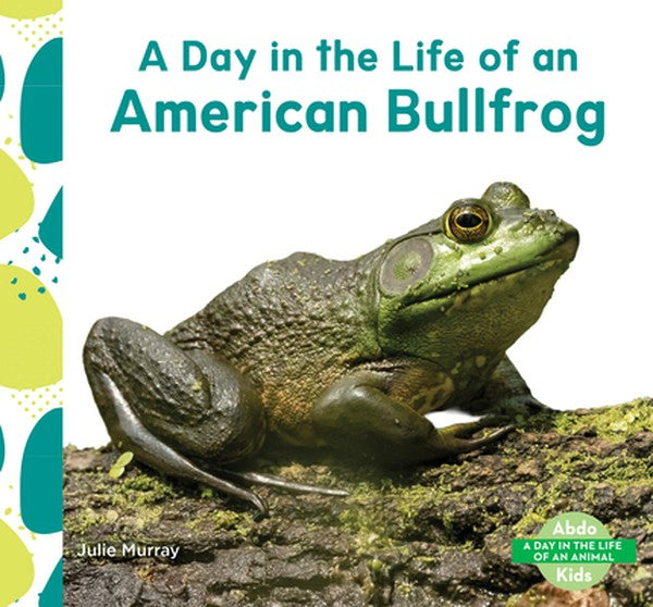 Day in the Life of an American Bullfrog