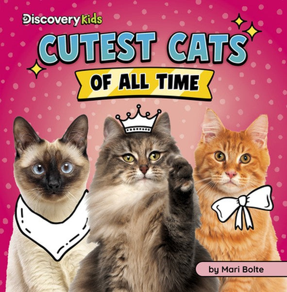 Cutest Cats of All Time
