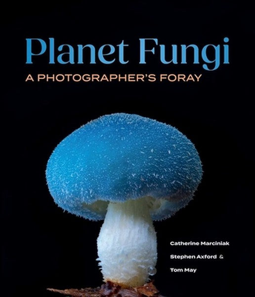 Planet Fungi: A Photographer's Foray