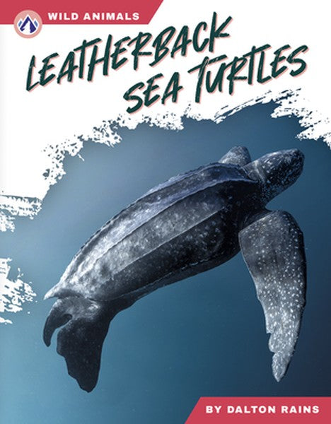 Leatherback Sea Turtles