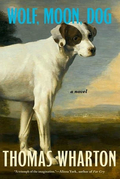 Wolf, Moon, Dog