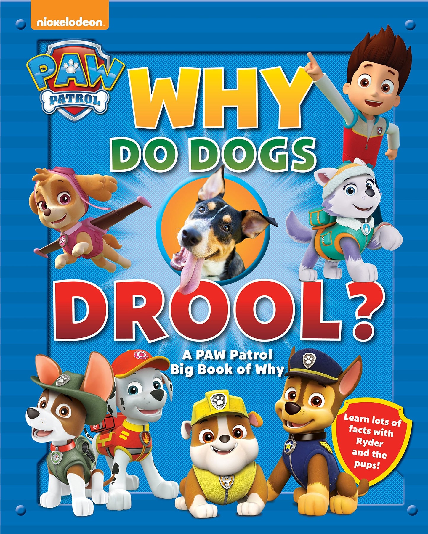 Why Do Dogs Drool?: A PAW Patrol Big Book of Why Media Lab Books - Good