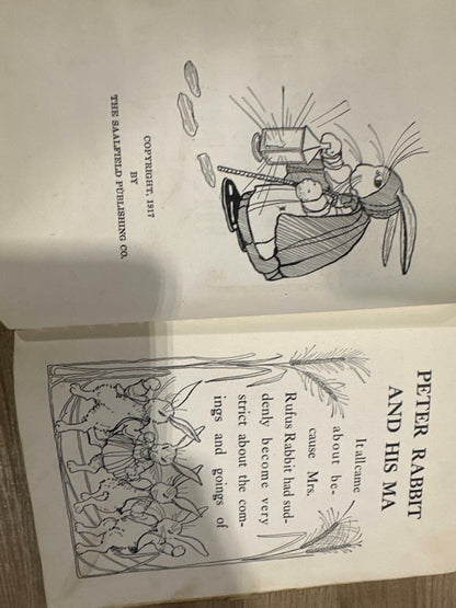 Peter Rabbit and His Ma First Edition 1917 - Acceptable