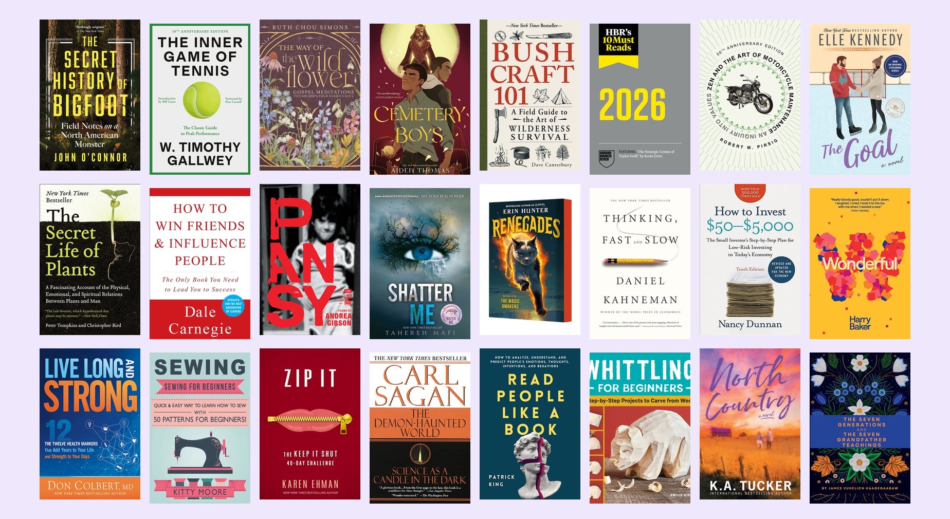A wall of book covers available from Sophibooks