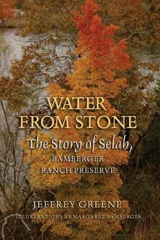 Louise Lindsey Merrick Natural Environment Ser.: Water from Stone : The Story... - book cover